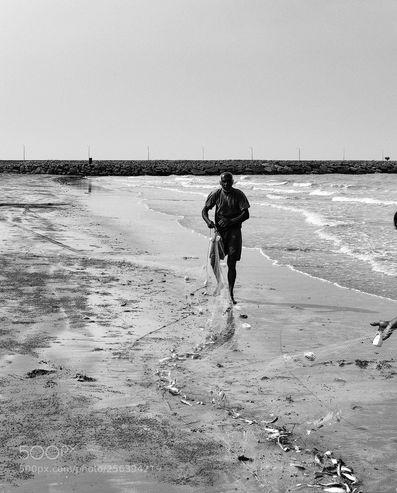 Nikon D3400 sample photo. Untitled photography