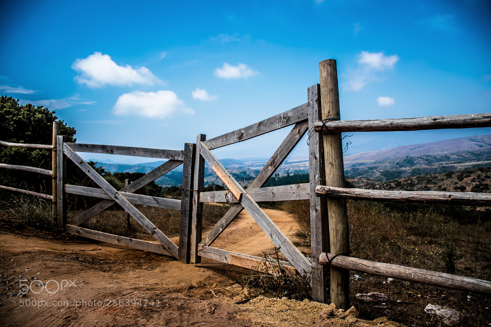 Nikon D5300 sample photo. The call of freedom. photography