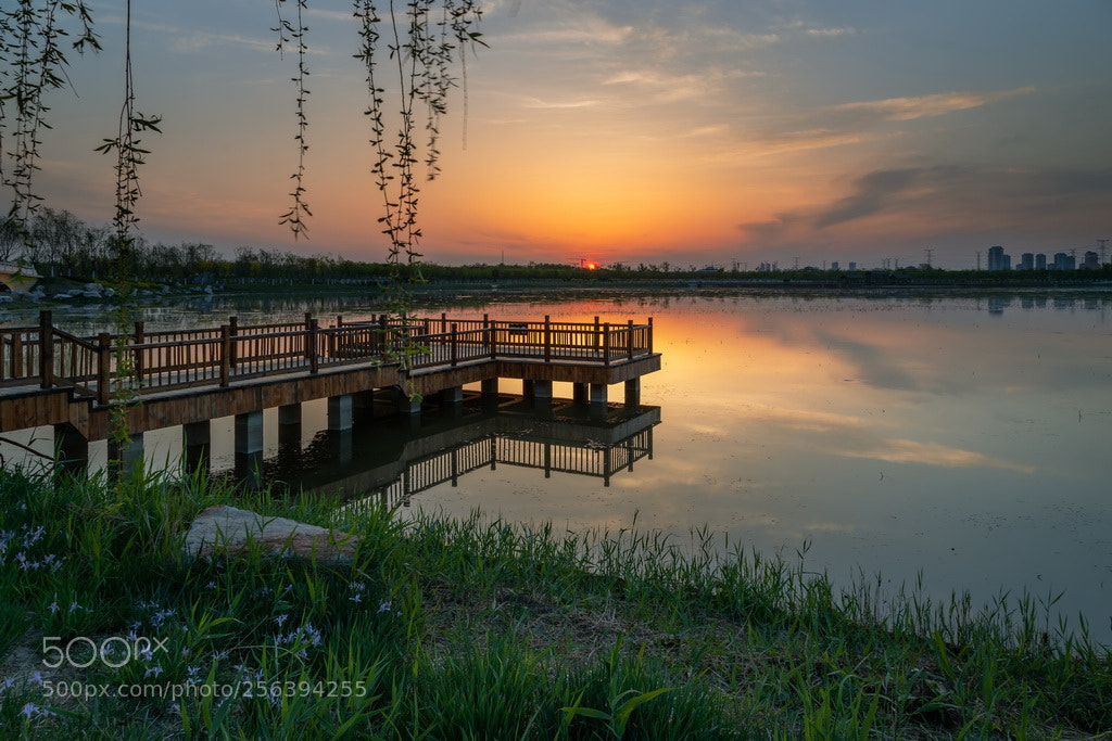 Canon EOS 6D Mark II sample photo. Sunset photography