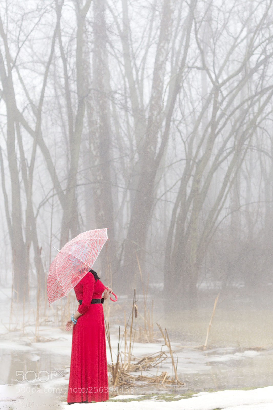 Canon EOS 6D sample photo. A photography