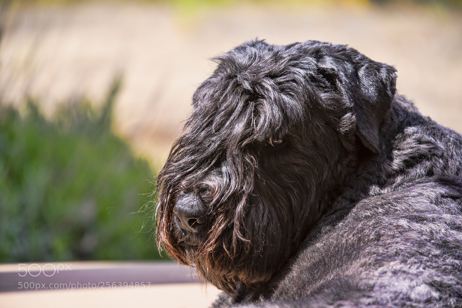 Pentax K-1 sample photo. Freya photography