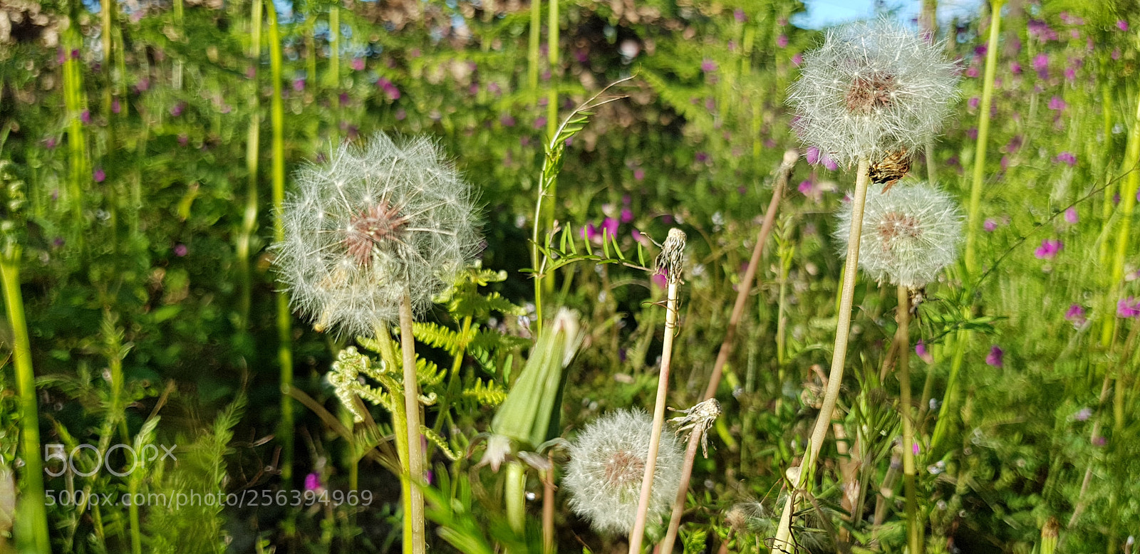 Samsung Galaxy S8 sample photo. Untitled photography