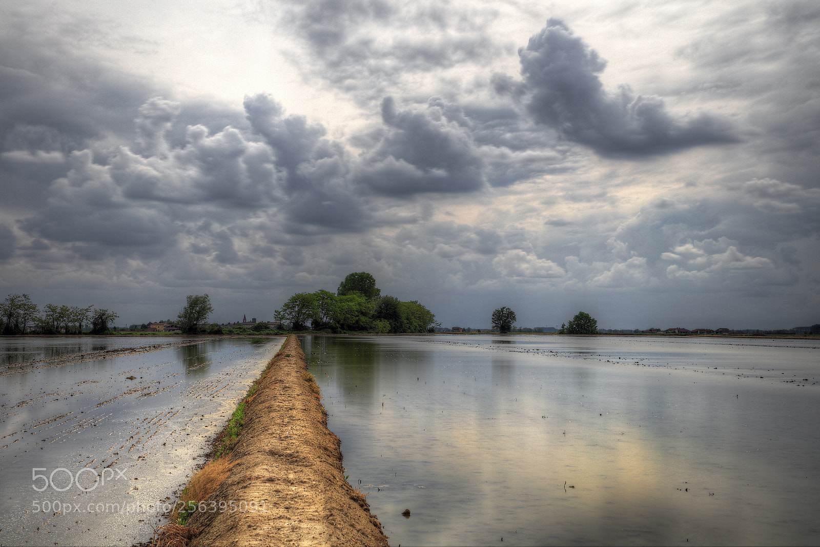 Canon EOS 5DS R sample photo. Ricefields, just near proh photography