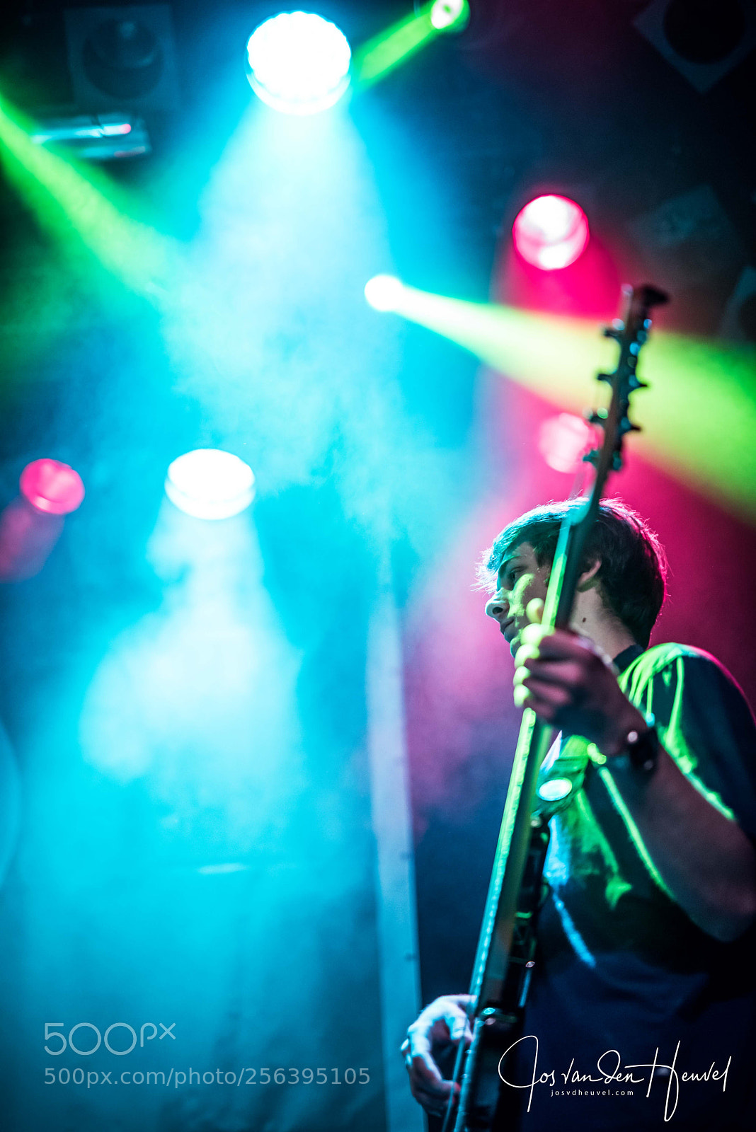 Nikon D750 sample photo. Playing the bass photography