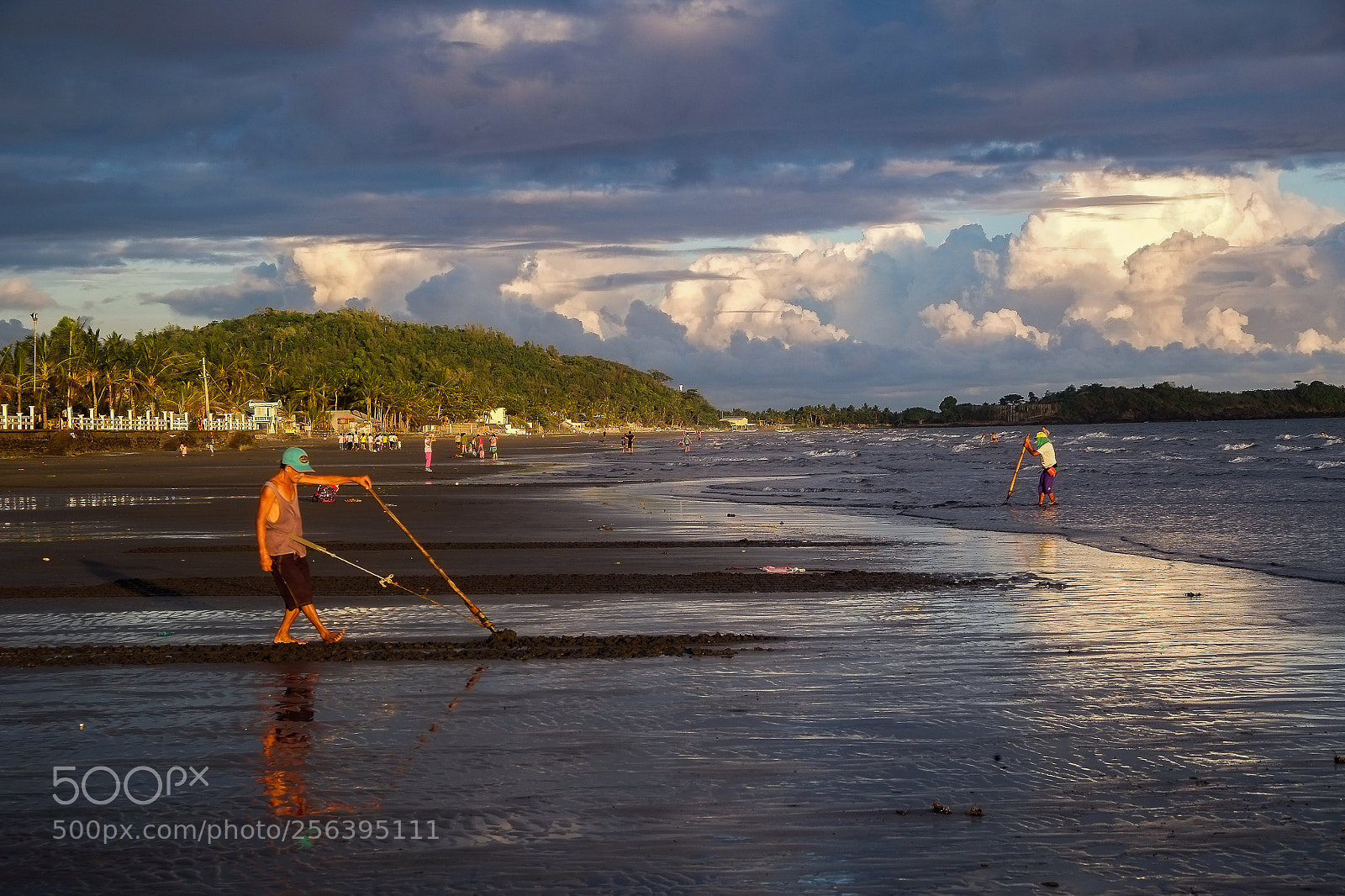 Fujifilm X-E1 sample photo. Hunting clams photography