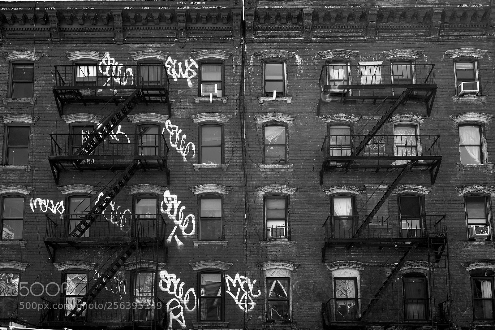 Fujifilm X-E3 sample photo. Brooklyn windows photography