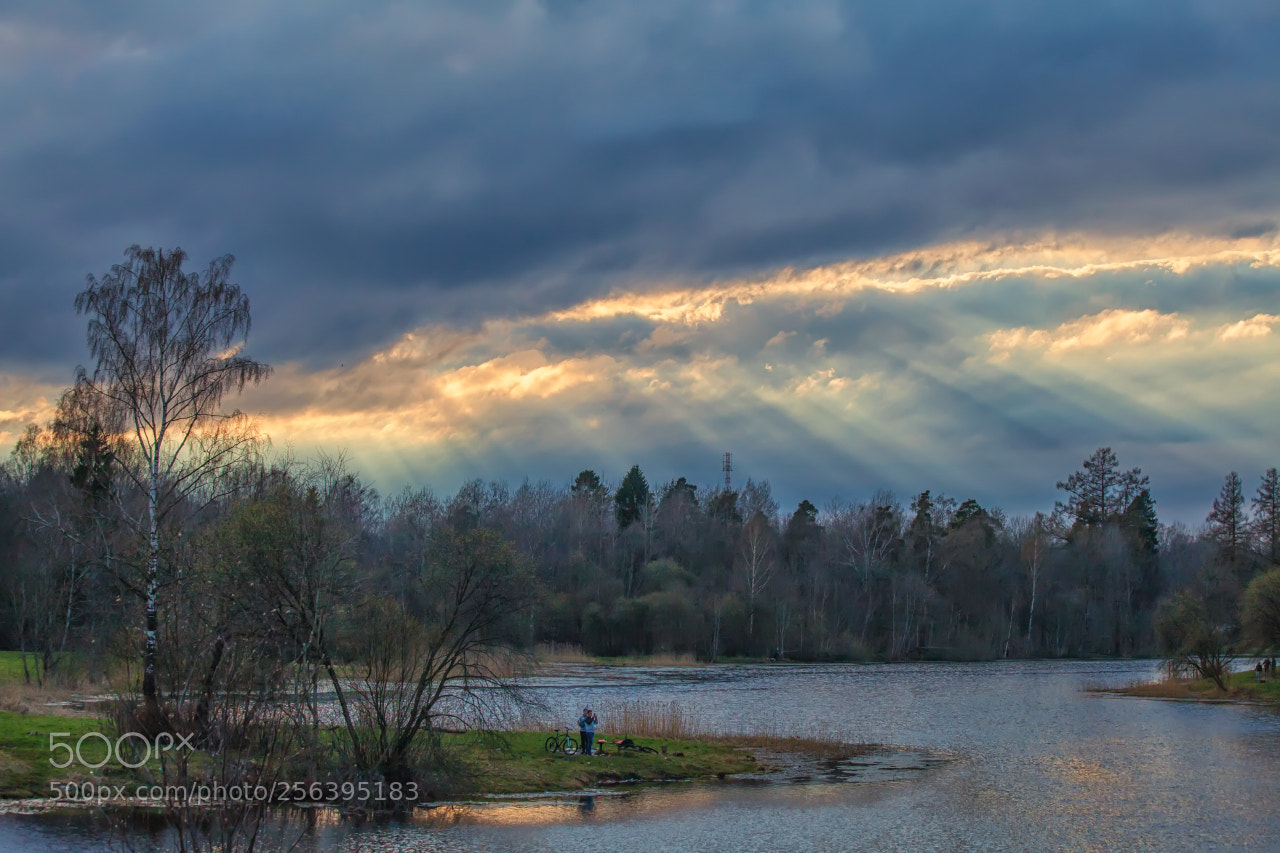 Canon EOS 5D Mark II sample photo. Rays photography