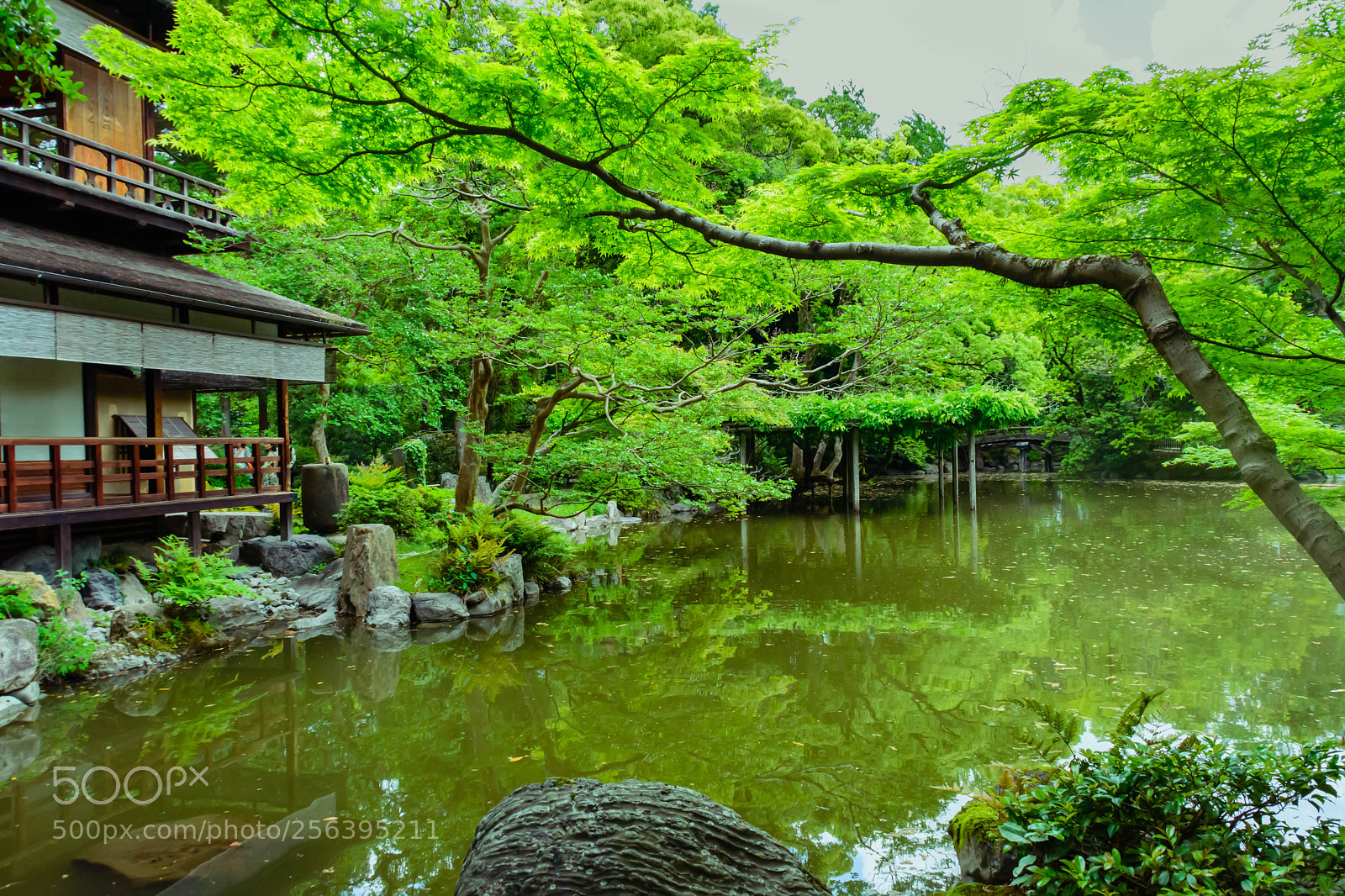 Nikon D5200 sample photo. 拾翠亭 photography