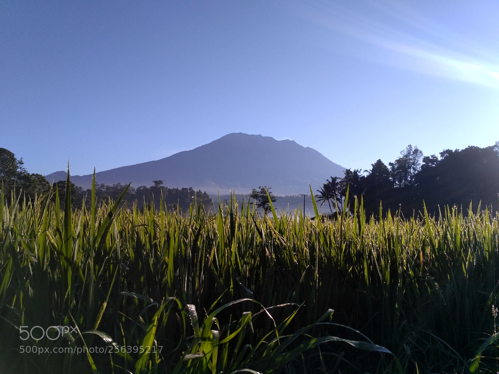 Xiaomi Redmi 3S sample photo. Mt agung photography