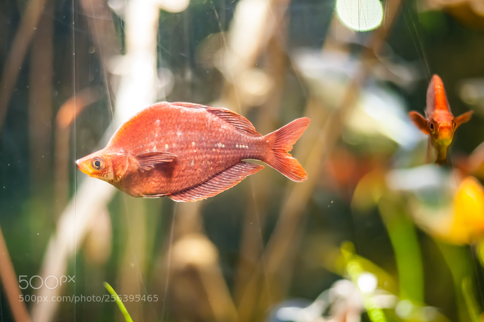 Canon EOS-1D Mark III sample photo. Untitled photography