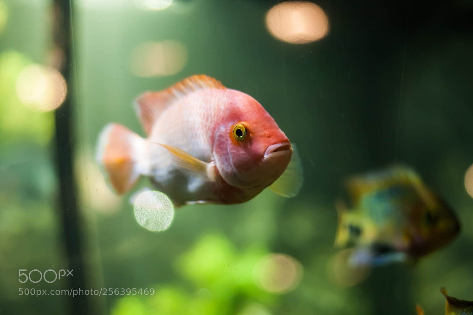 Canon EOS-1D Mark III sample photo. Untitled photography