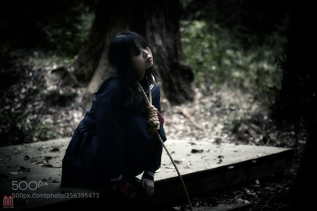 Nikon D810 sample photo. Kayo 21yod in shinto photography