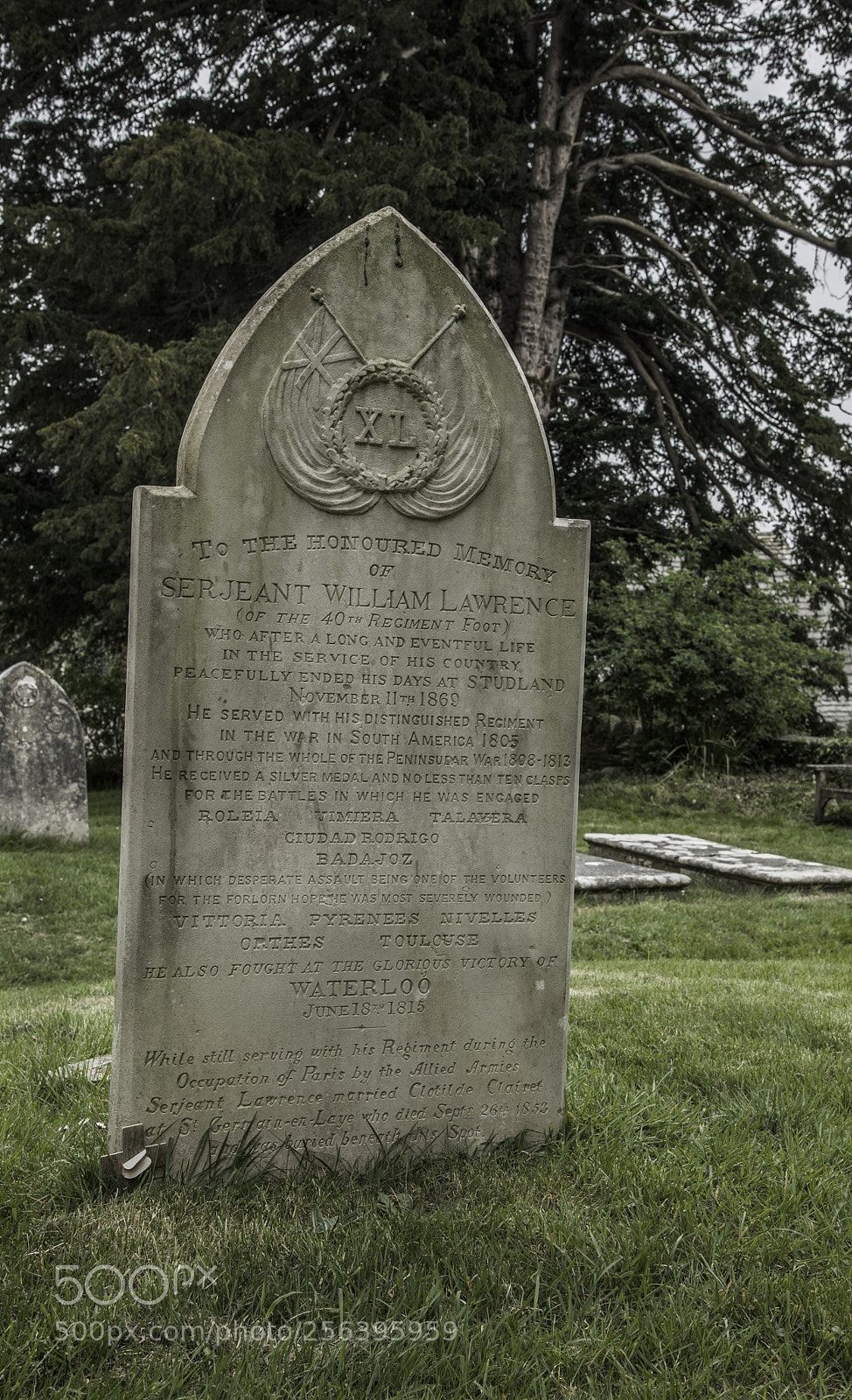 Nikon D810 sample photo. A brave soldier's epitaph photography
