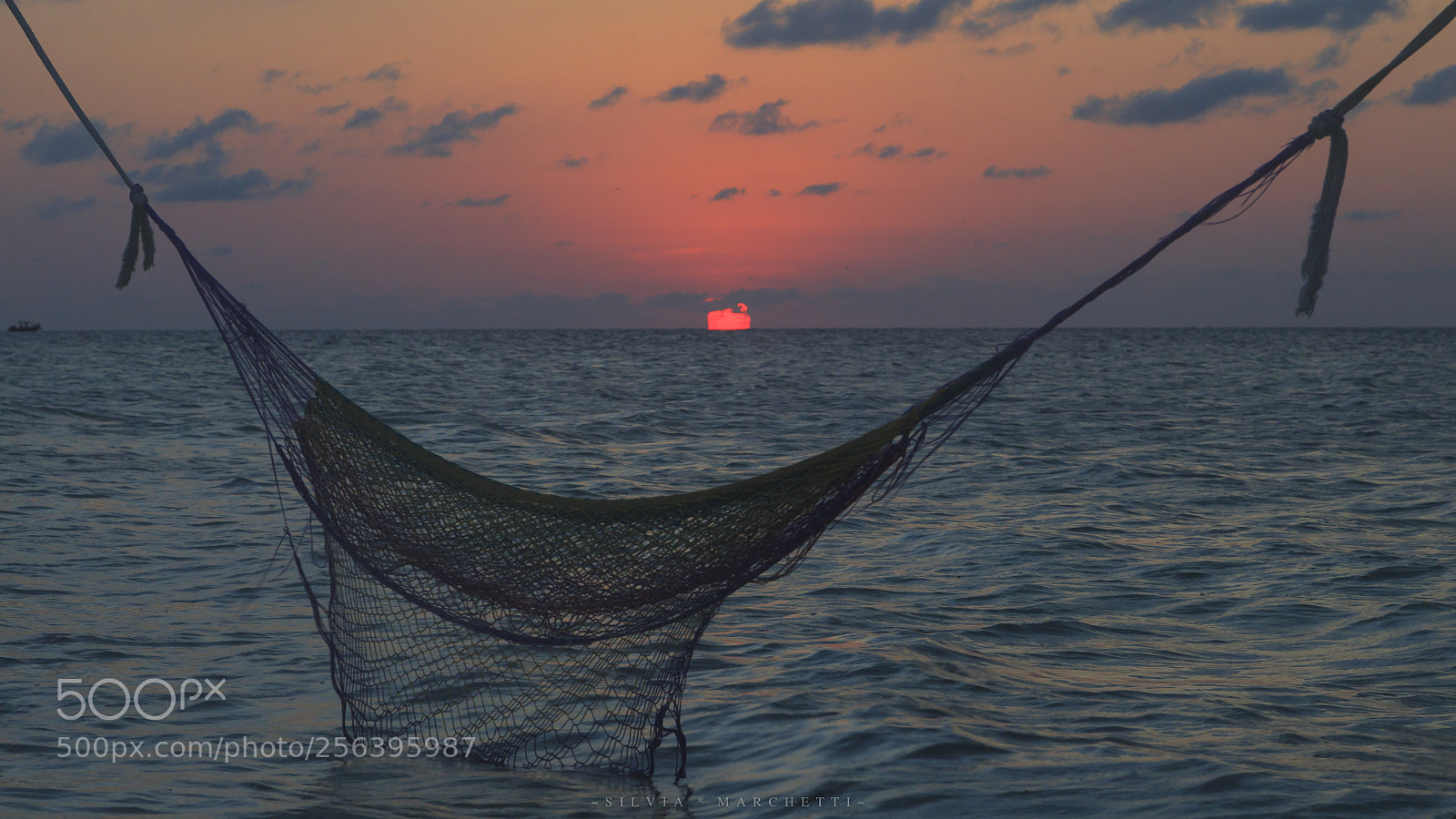 Canon EOS 6D sample photo. ~another paradise~ photography