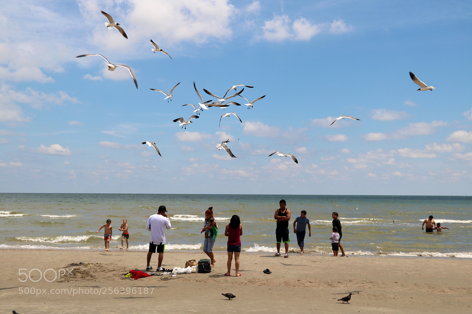 Canon EOS 750D (EOS Rebel T6i / EOS Kiss X8i) sample photo. Galveston beach 6850 photography