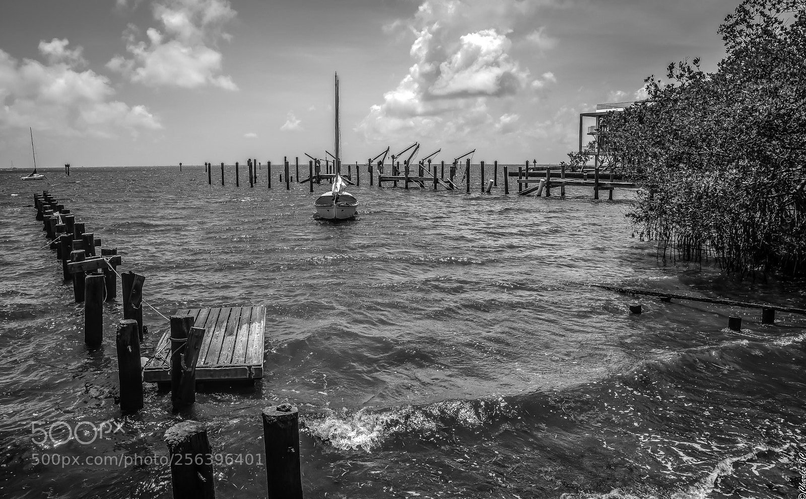 Nikon D5300 sample photo. Shore photography
