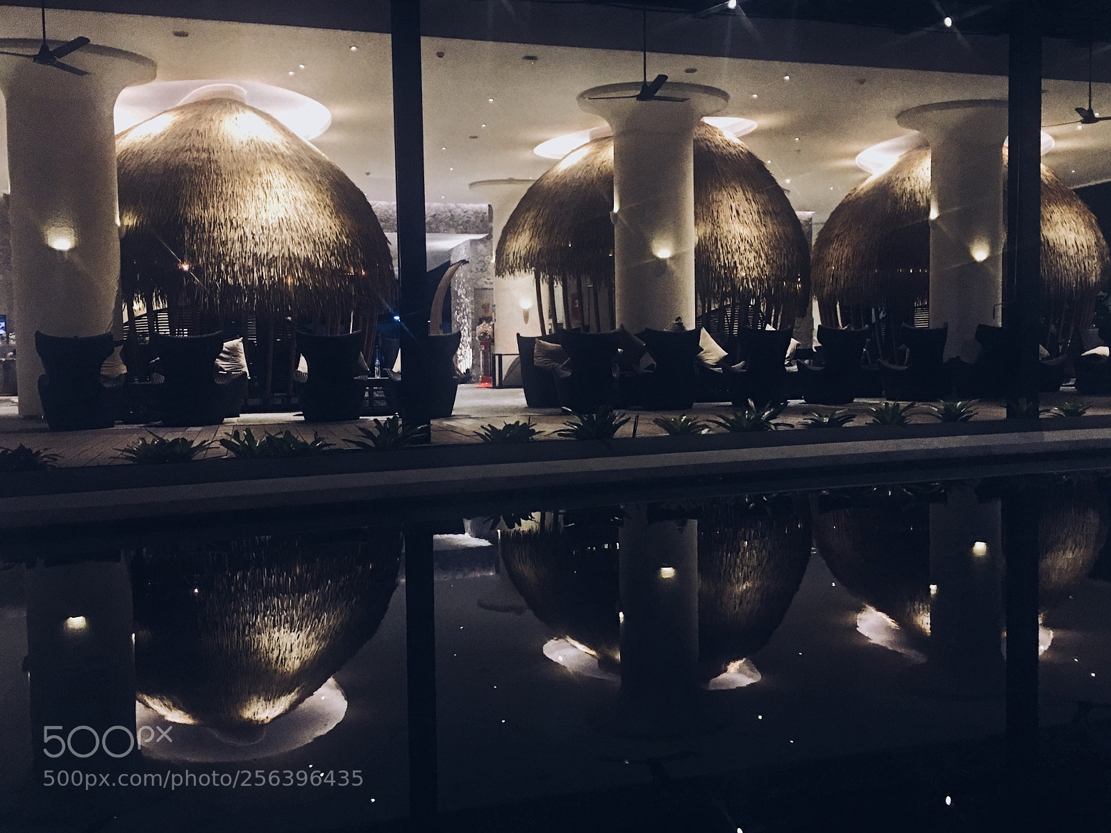 Apple iPhone 6s Plus sample photo. Untitled photography