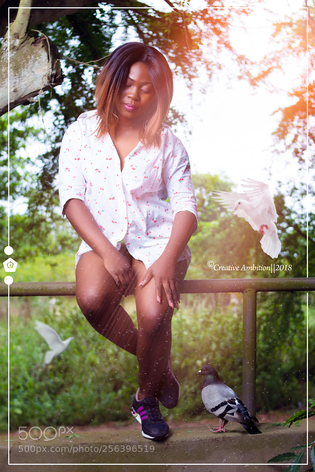 Nikon D3100 sample photo. Holy photography