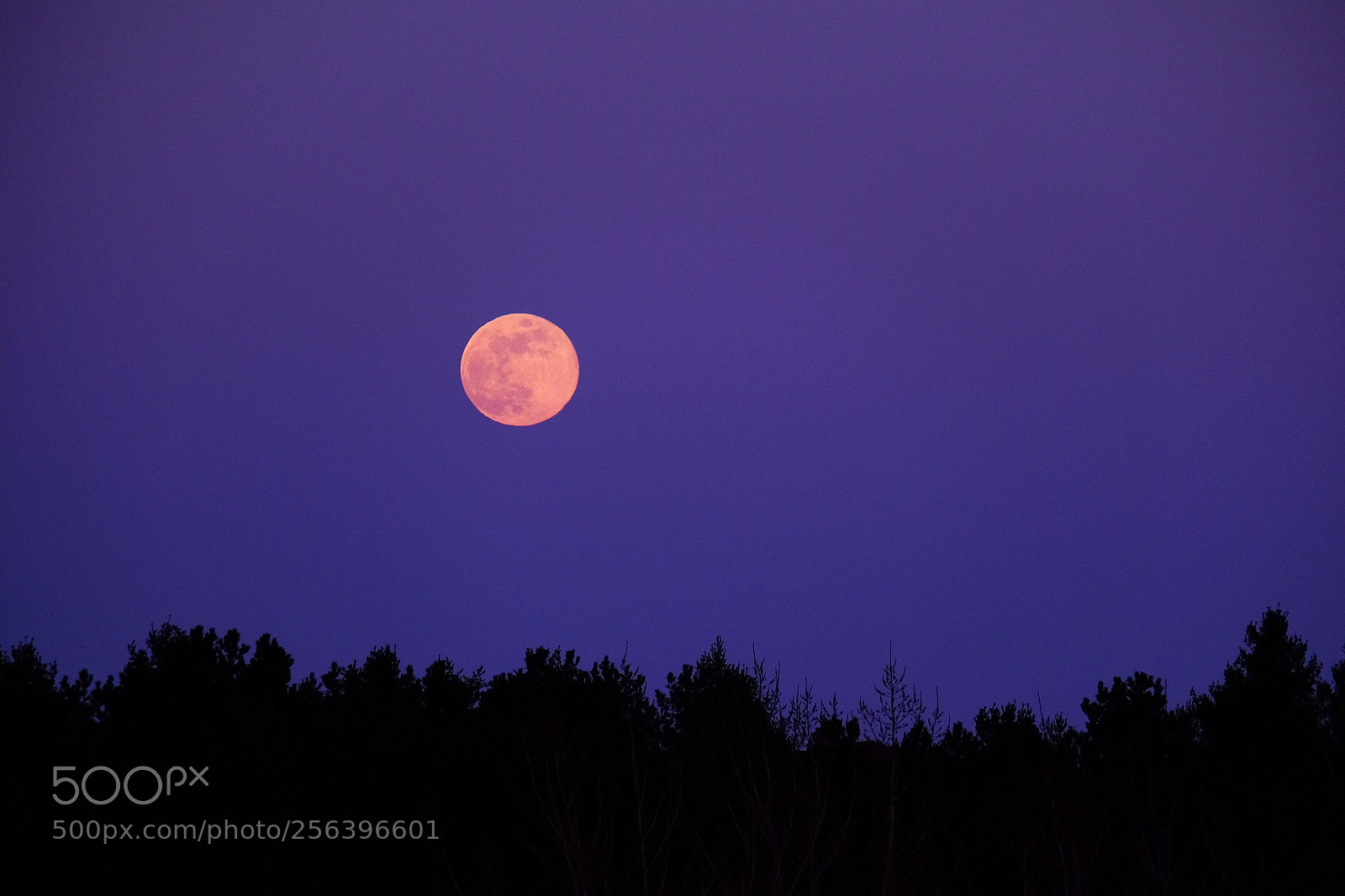 Fujifilm X-T10 sample photo. Full moon rising photography