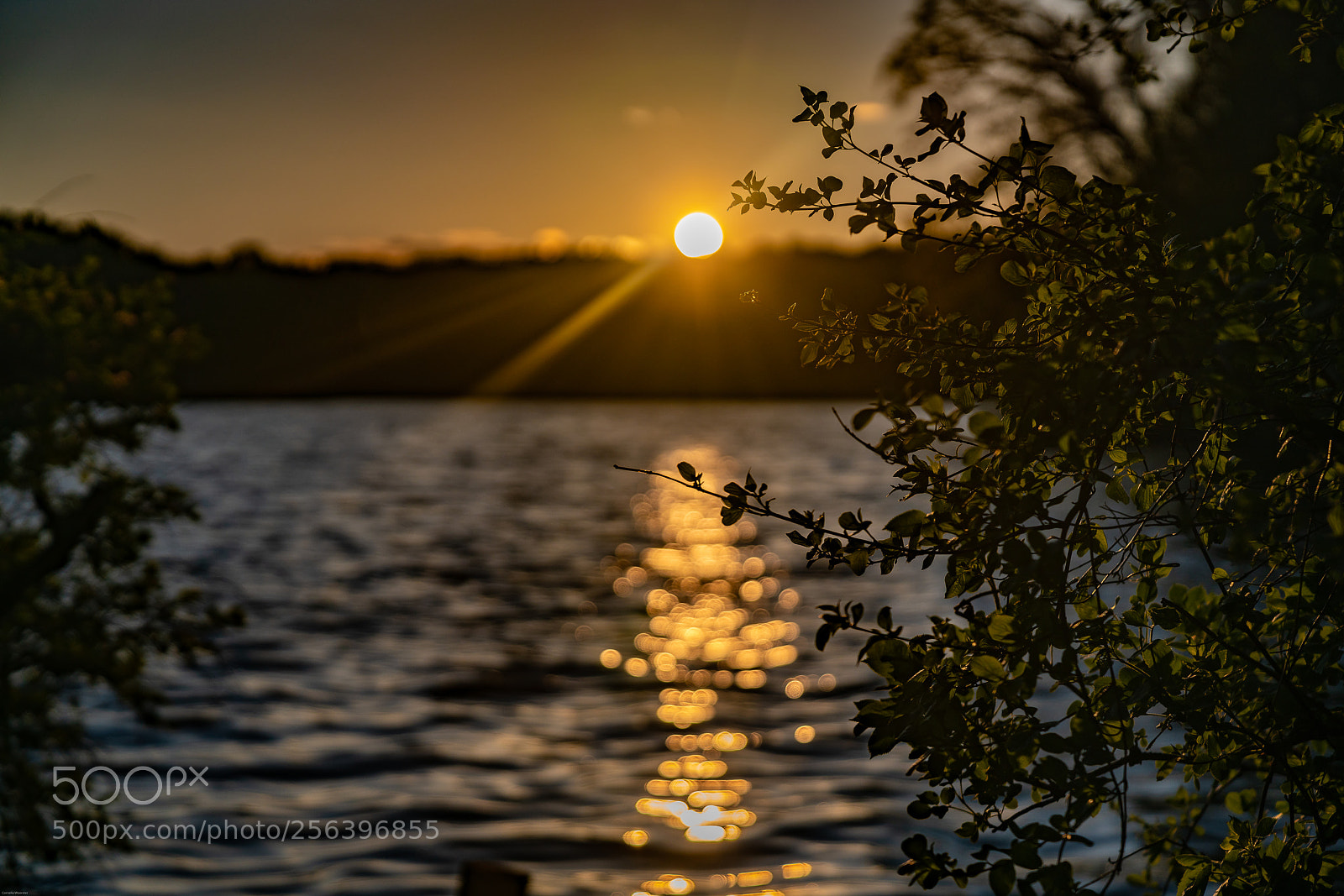 Sony a7R II sample photo. Sunset in berlin photography