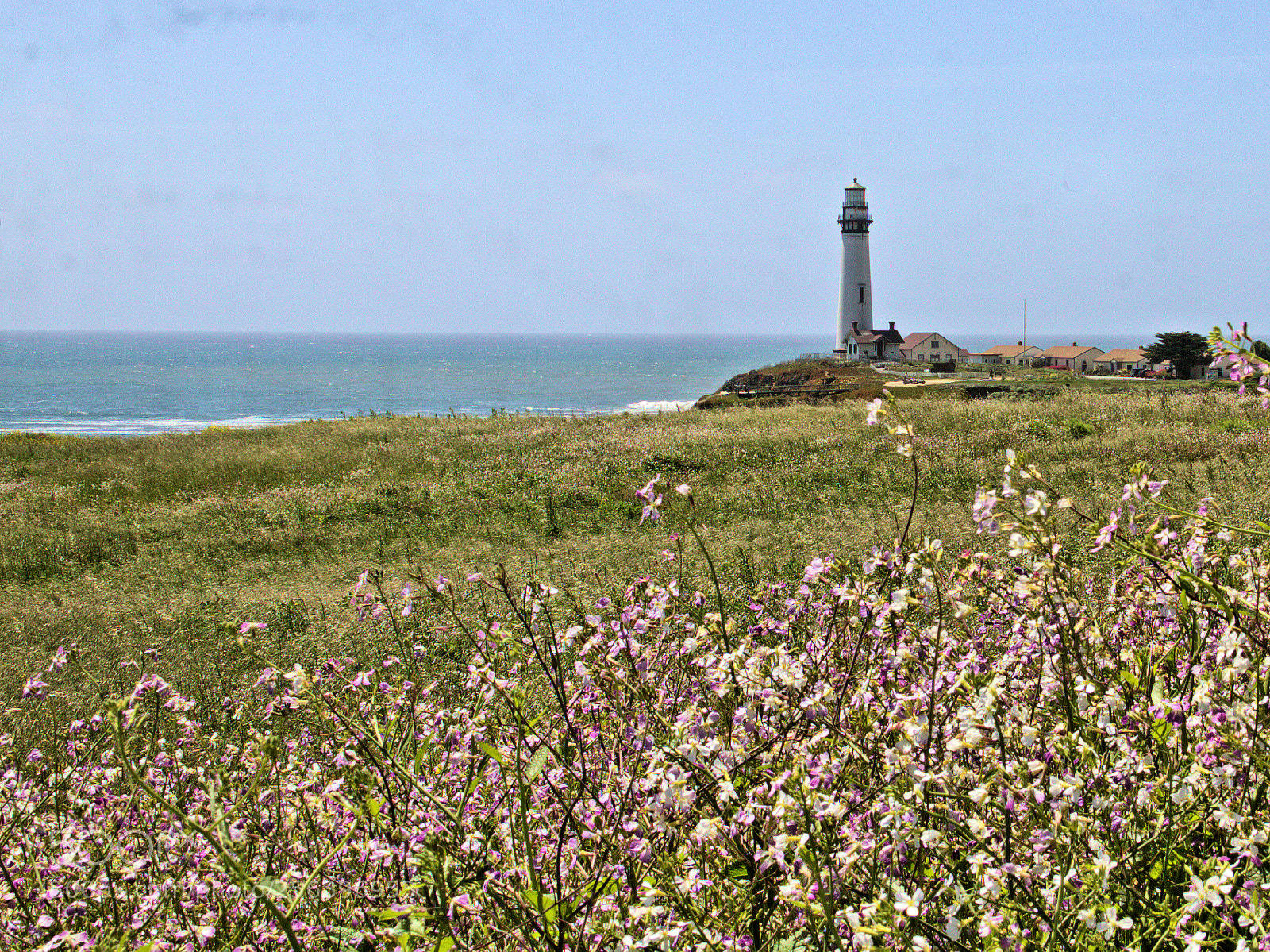Canon EOS 1100D (EOS Rebel T3 / EOS Kiss X50) sample photo. Lighthouse and wildflowers w photography