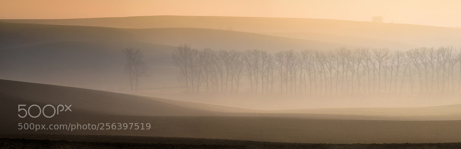 Nikon D600 sample photo. Moravia .czech republic photography