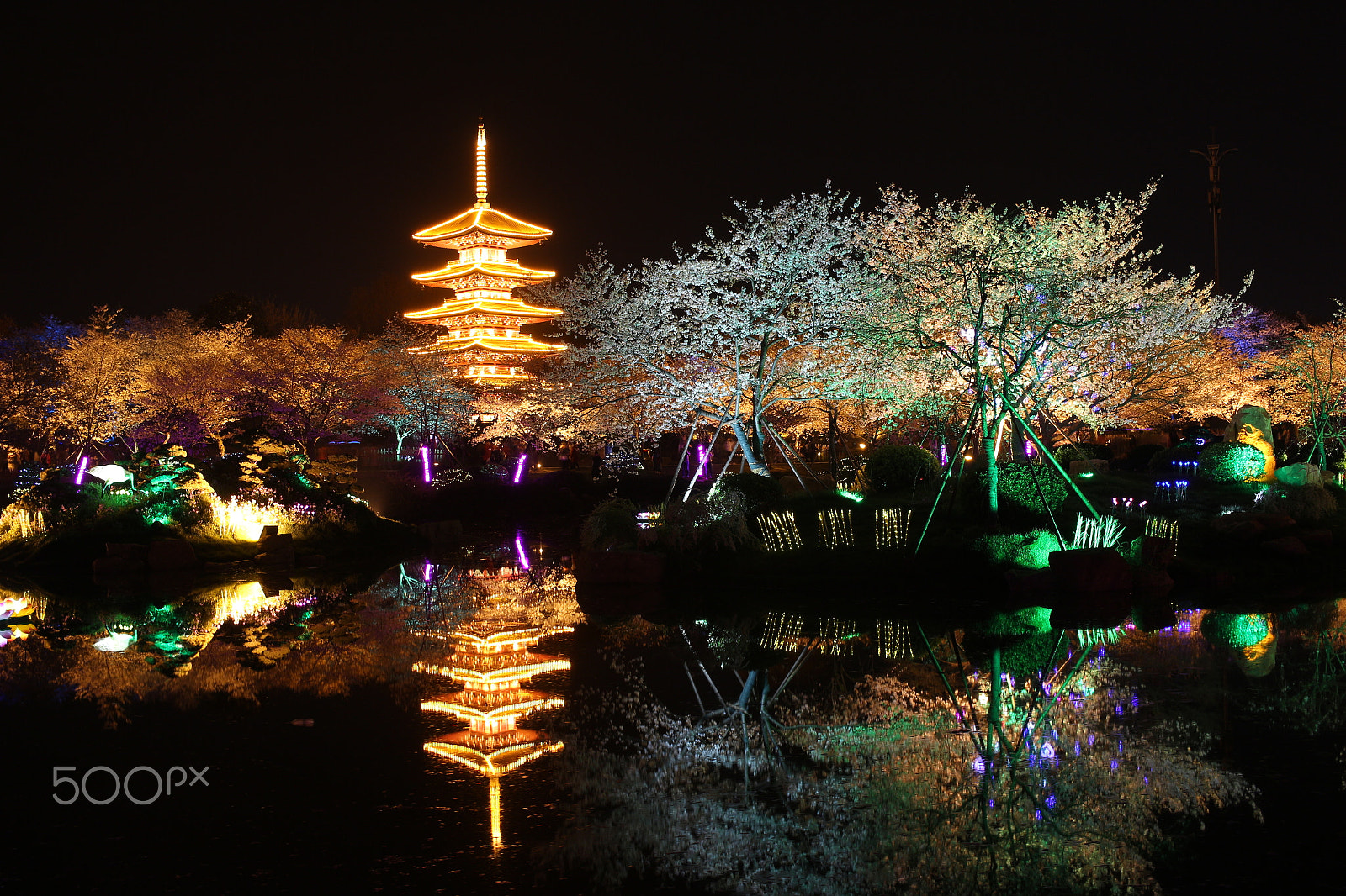 Canon EOS 650D (EOS Rebel T4i / EOS Kiss X6i) sample photo. Moshan sakura garden photography