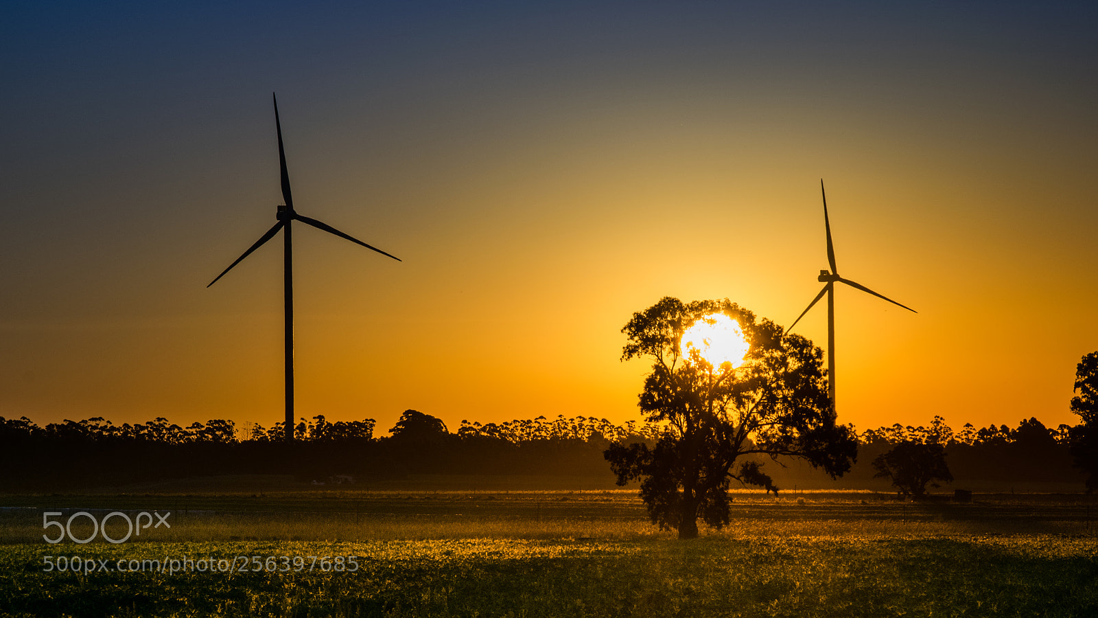 Nikon D5300 sample photo. Windmillsunset photography