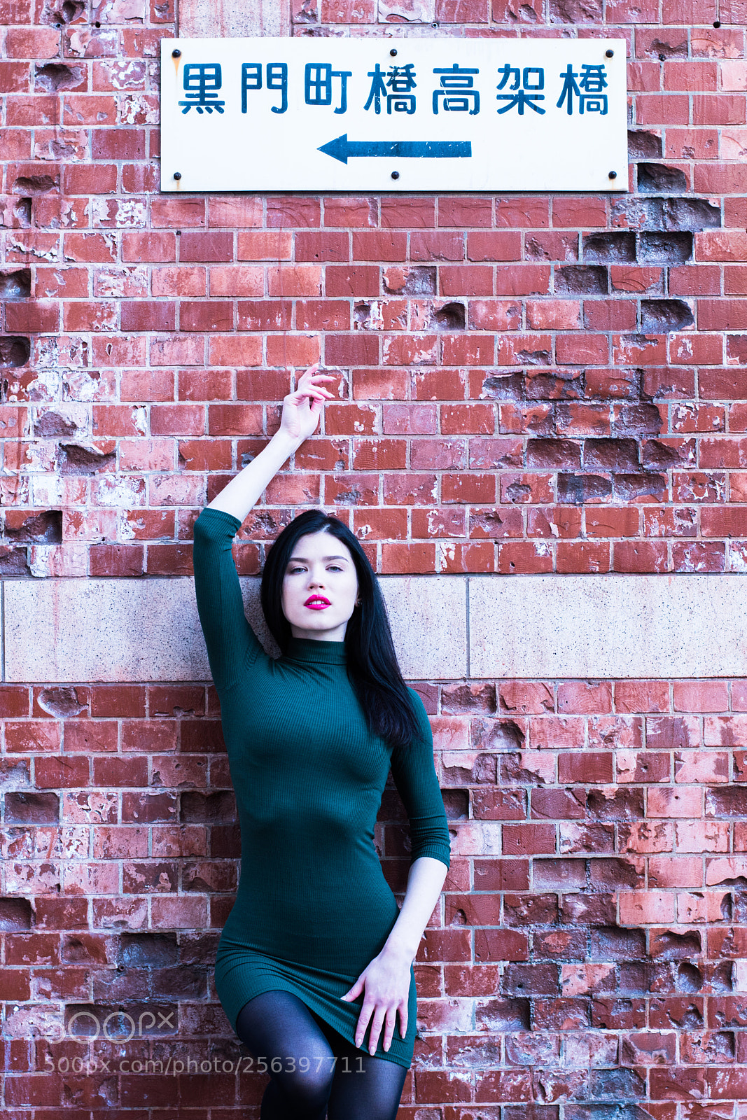 Nikon D5500 sample photo. Another brick in the photography