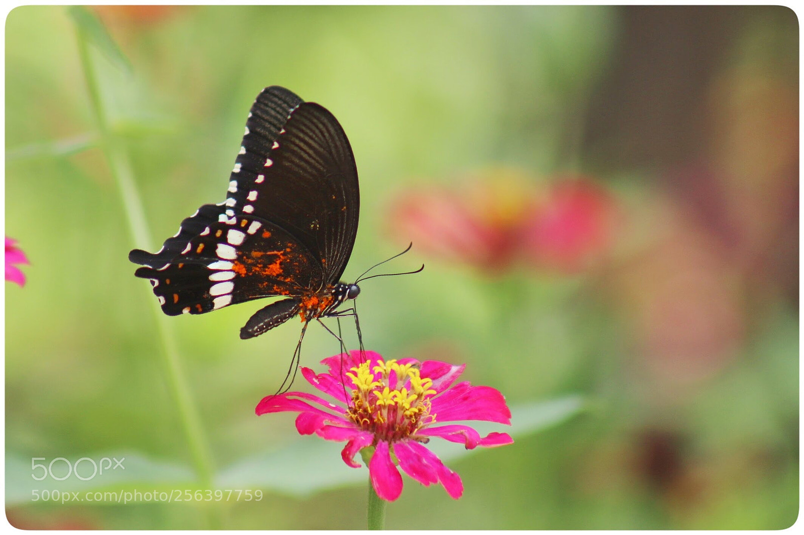 Canon EOS 77D (EOS 9000D / EOS 770D) sample photo. Untitled photography