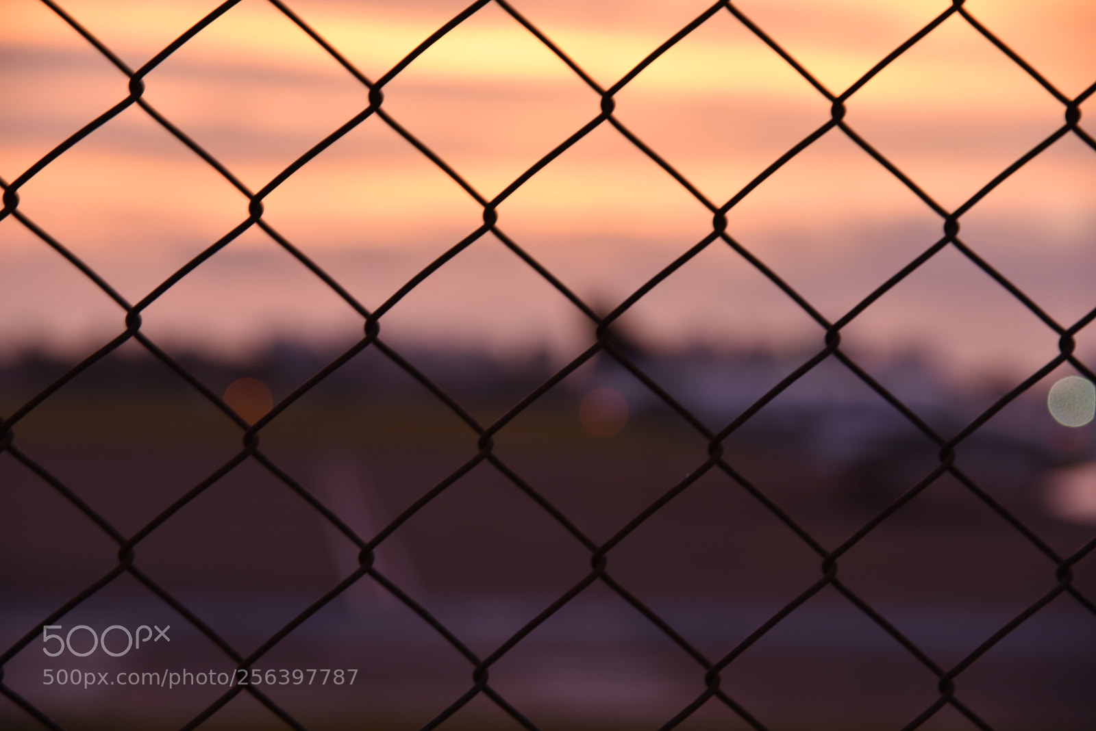 Nikon AF-S Nikkor 24-120mm F4G ED VR sample photo. Security fencing photography
