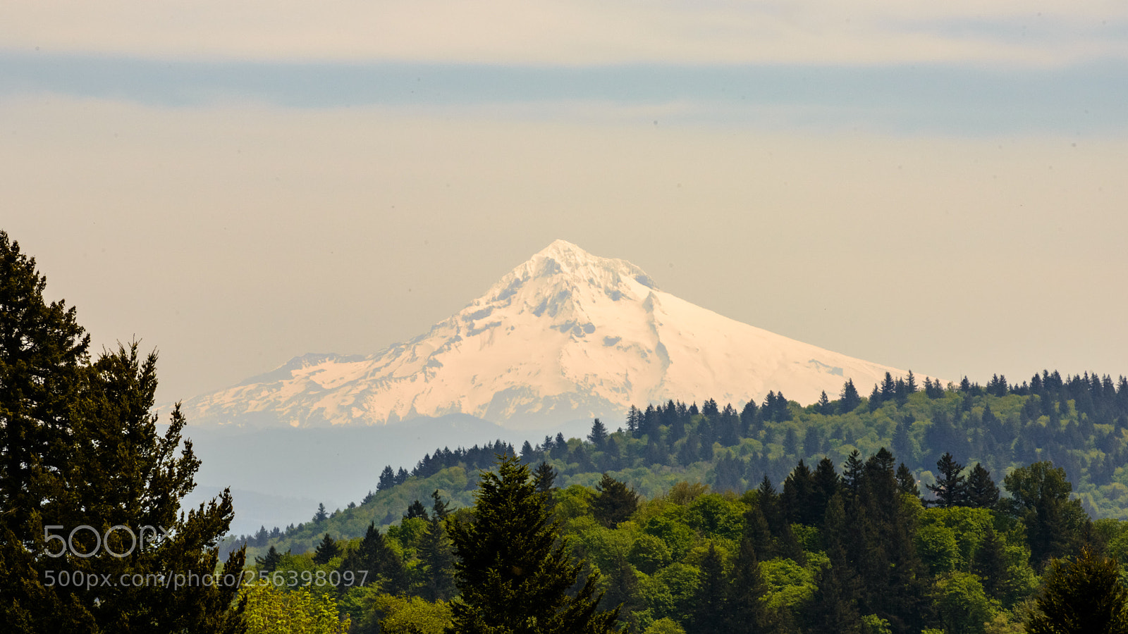 Nikon D800 sample photo. The mountain from the photography