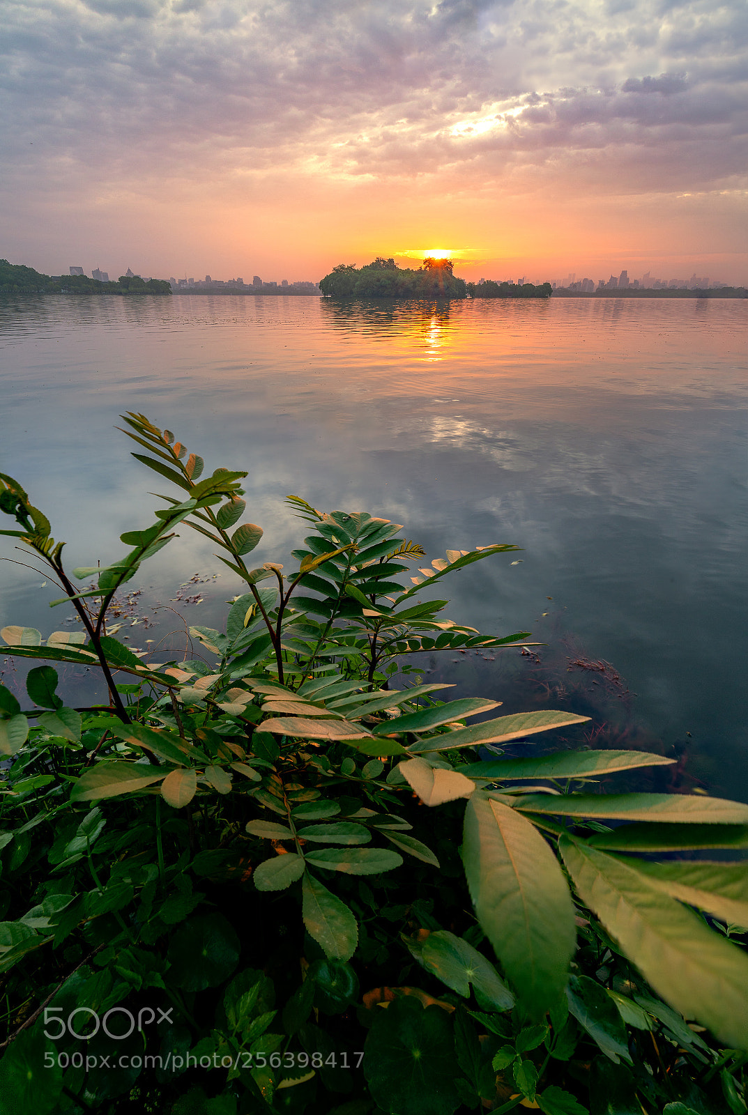 Canon EOS 5D Mark IV sample photo. Morning photography