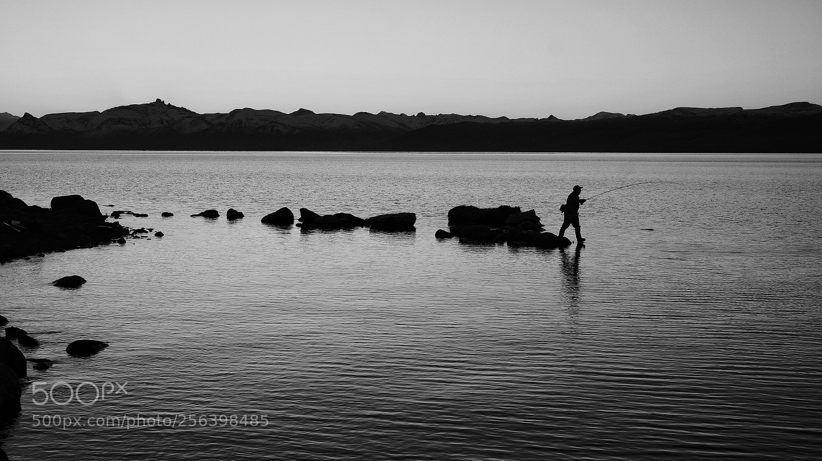 Sony Alpha a3500 sample photo. Untitled photography