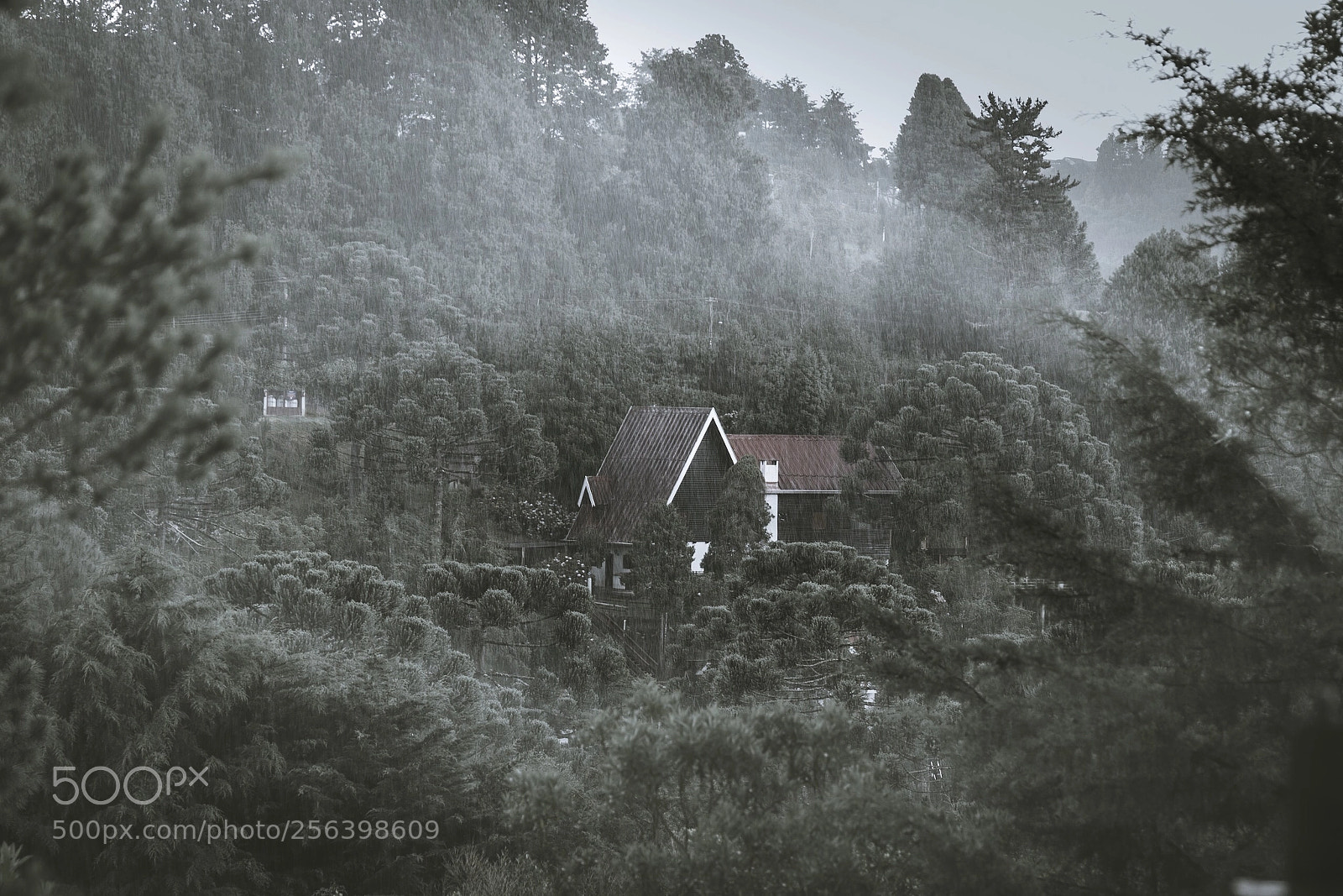 Canon EOS 200D (EOS Rebel SL2 / EOS Kiss X9) sample photo. Misty mountain photography