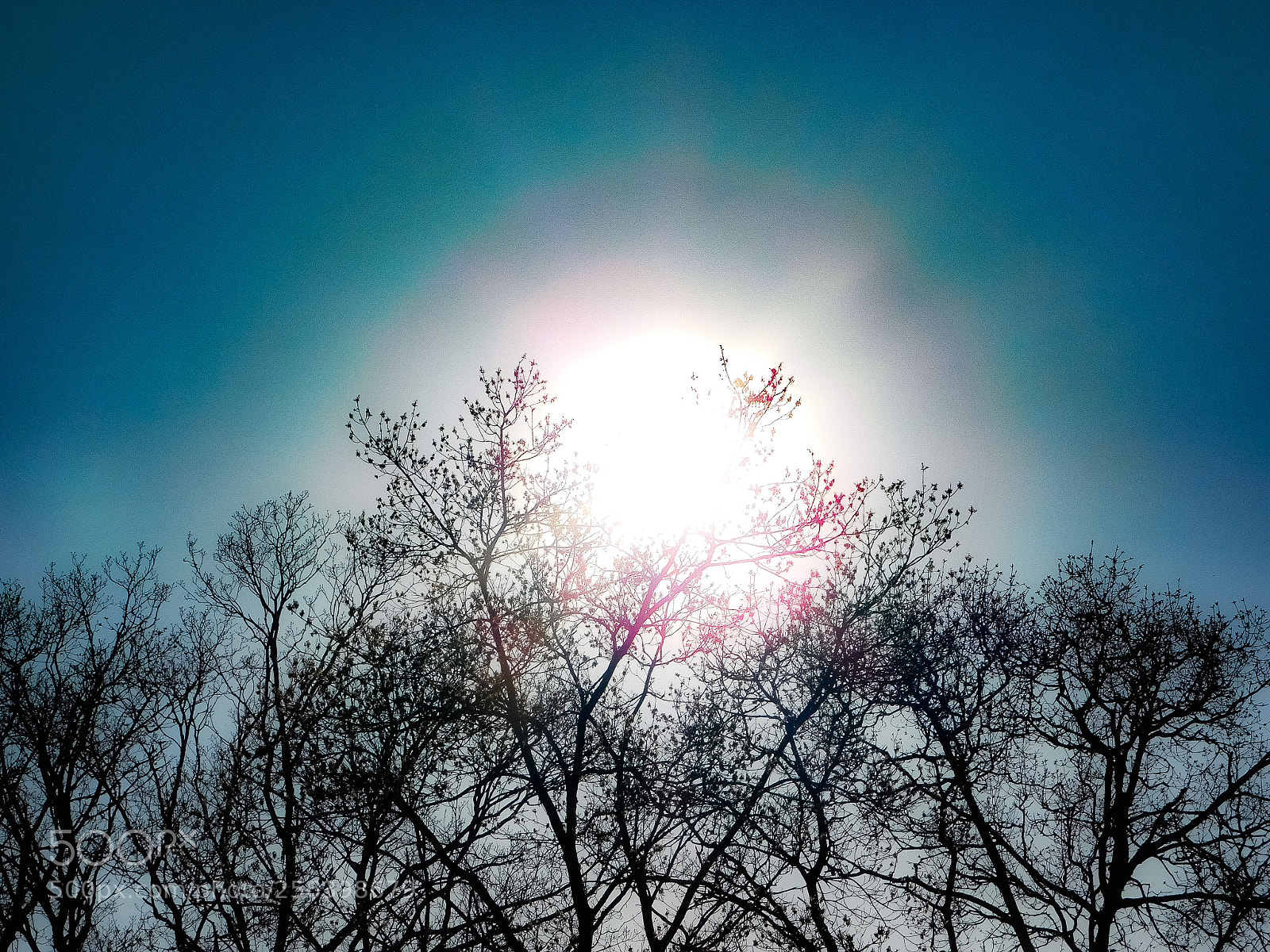 Nikon Coolpix B500 sample photo. Sunray over the tree photography