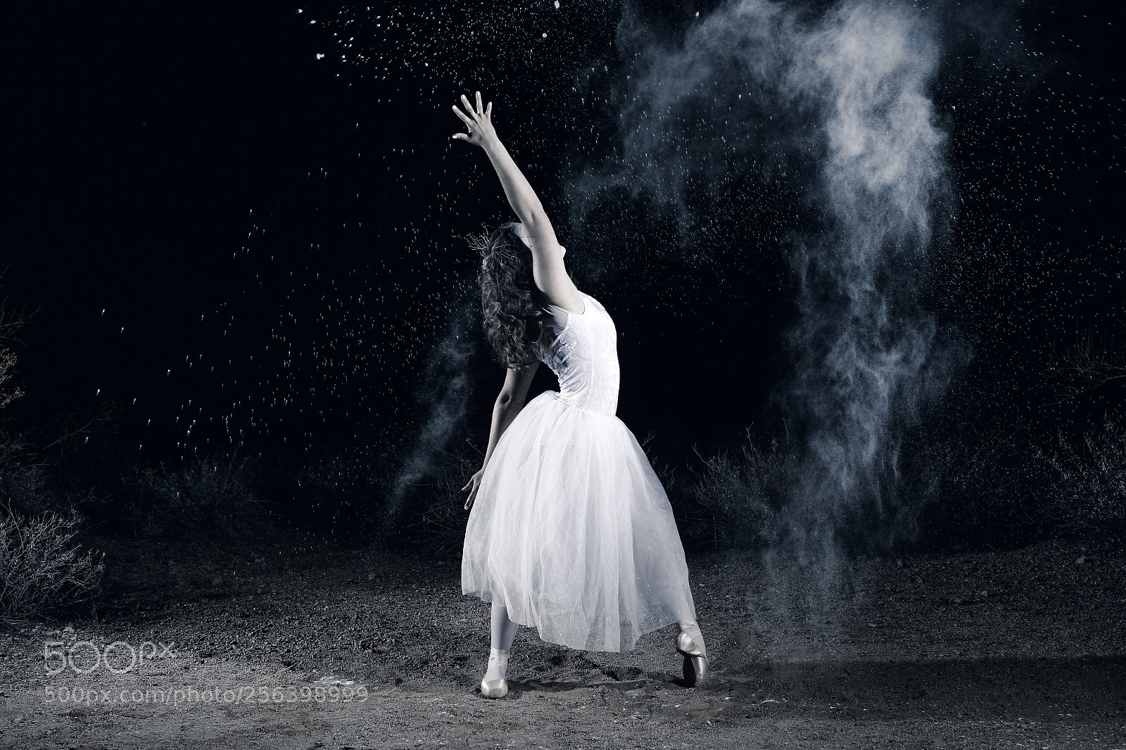 Canon EOS 6D sample photo. Dancing ghost bride photography