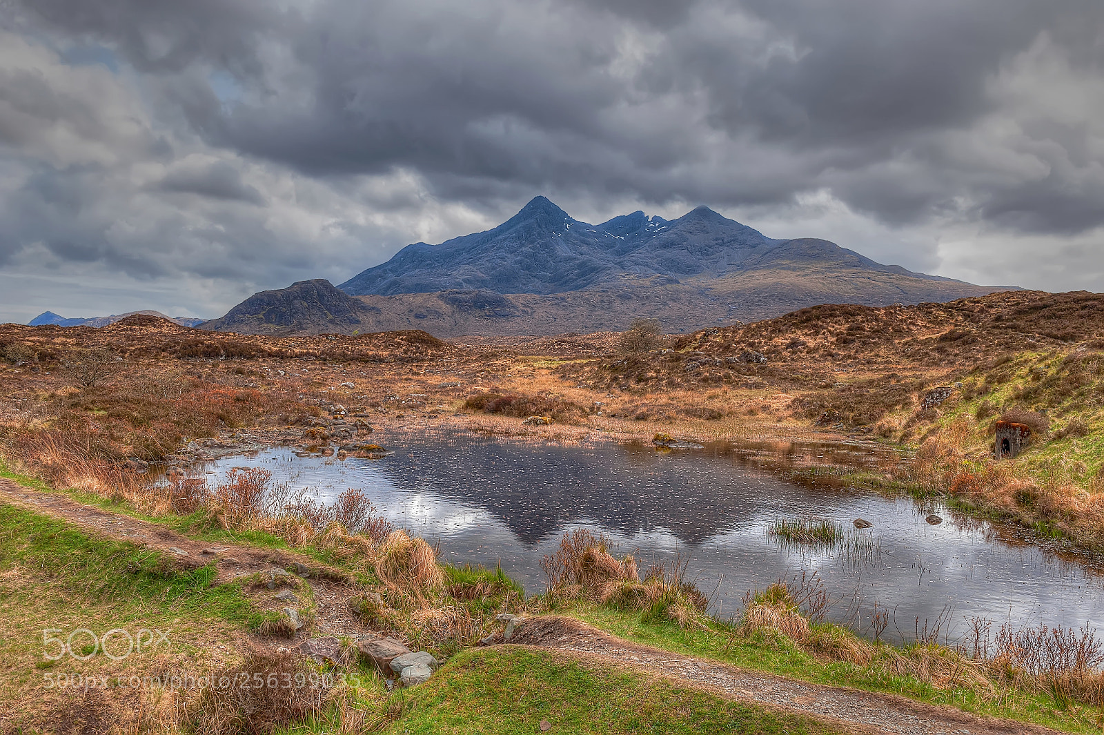 Nikon D700 sample photo. Reflection in pool of photography