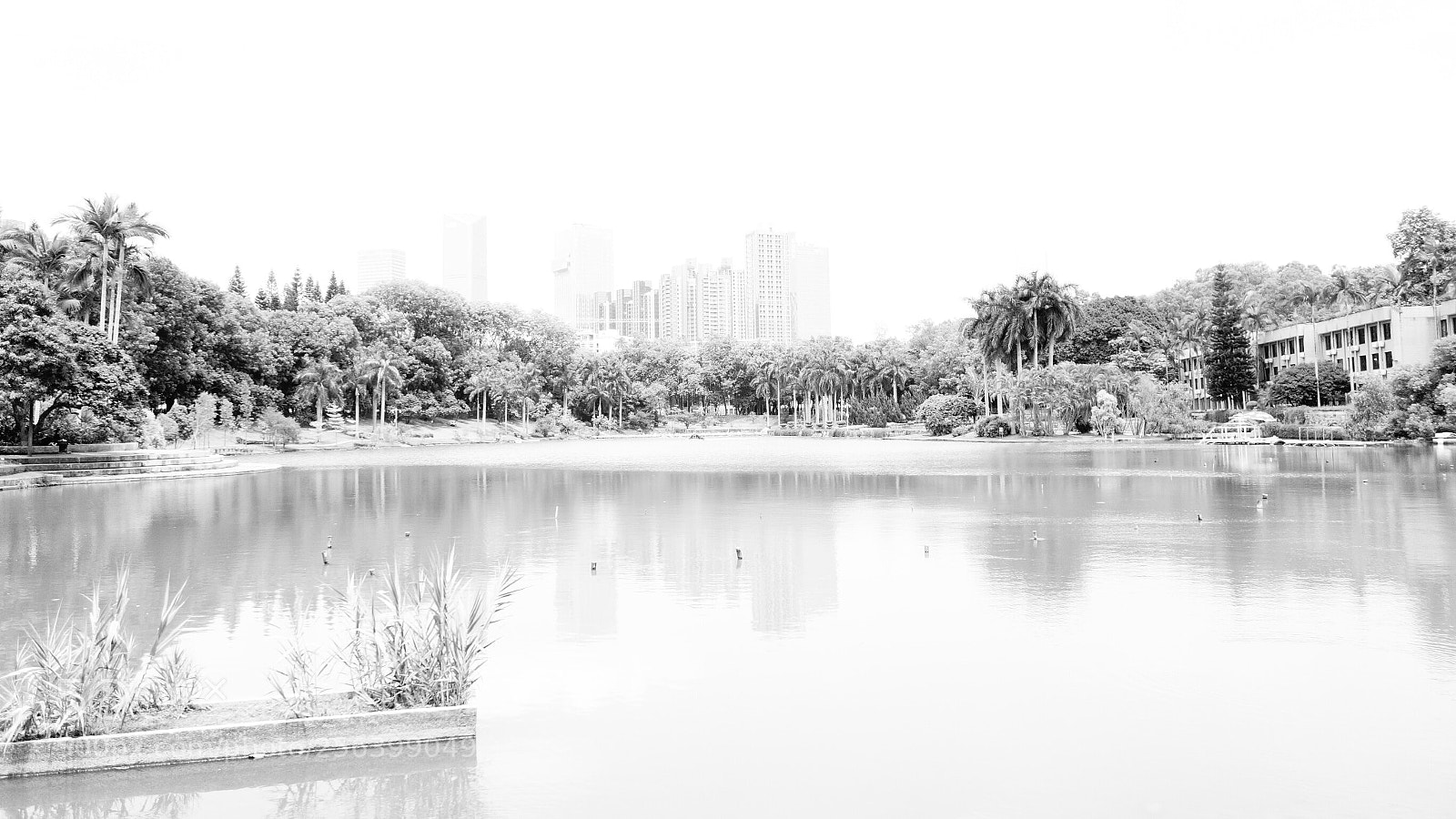 Sony Cyber-shot DSC-RX100 sample photo. Lake photography