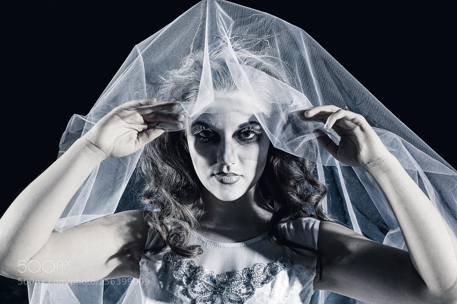 Canon EOS 6D sample photo. Corpse bride photography
