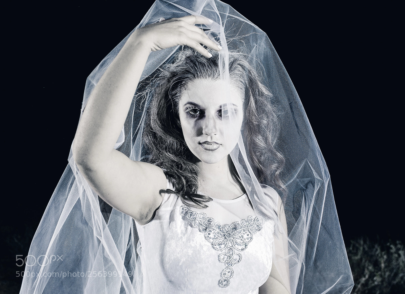 Canon EOS 6D sample photo. Corpse bride photography