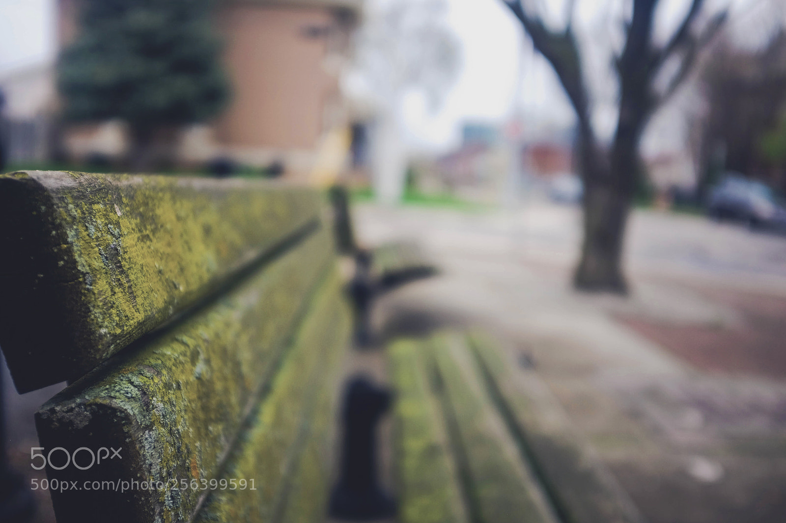 Fujifilm X100S sample photo. Bench bokeh photography