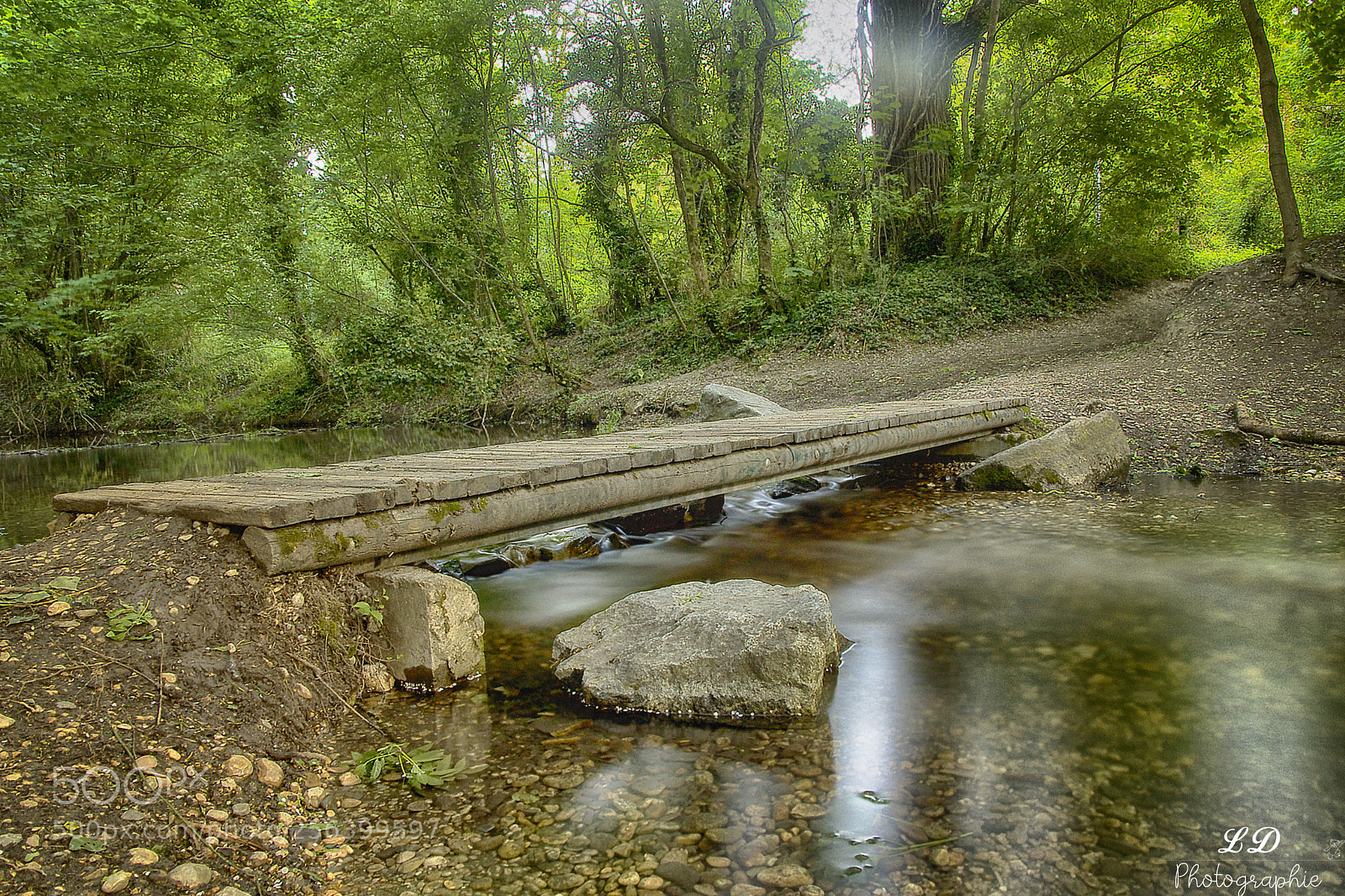 Nikon D7200 sample photo. Foret photography
