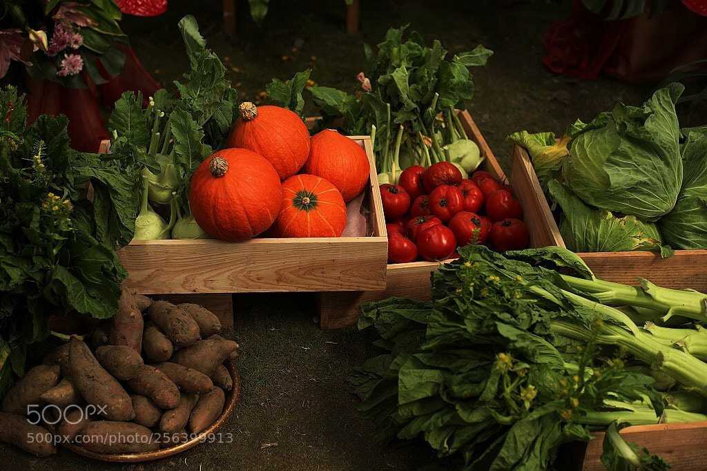 Canon EOS 5D Mark II sample photo. Untitled photography