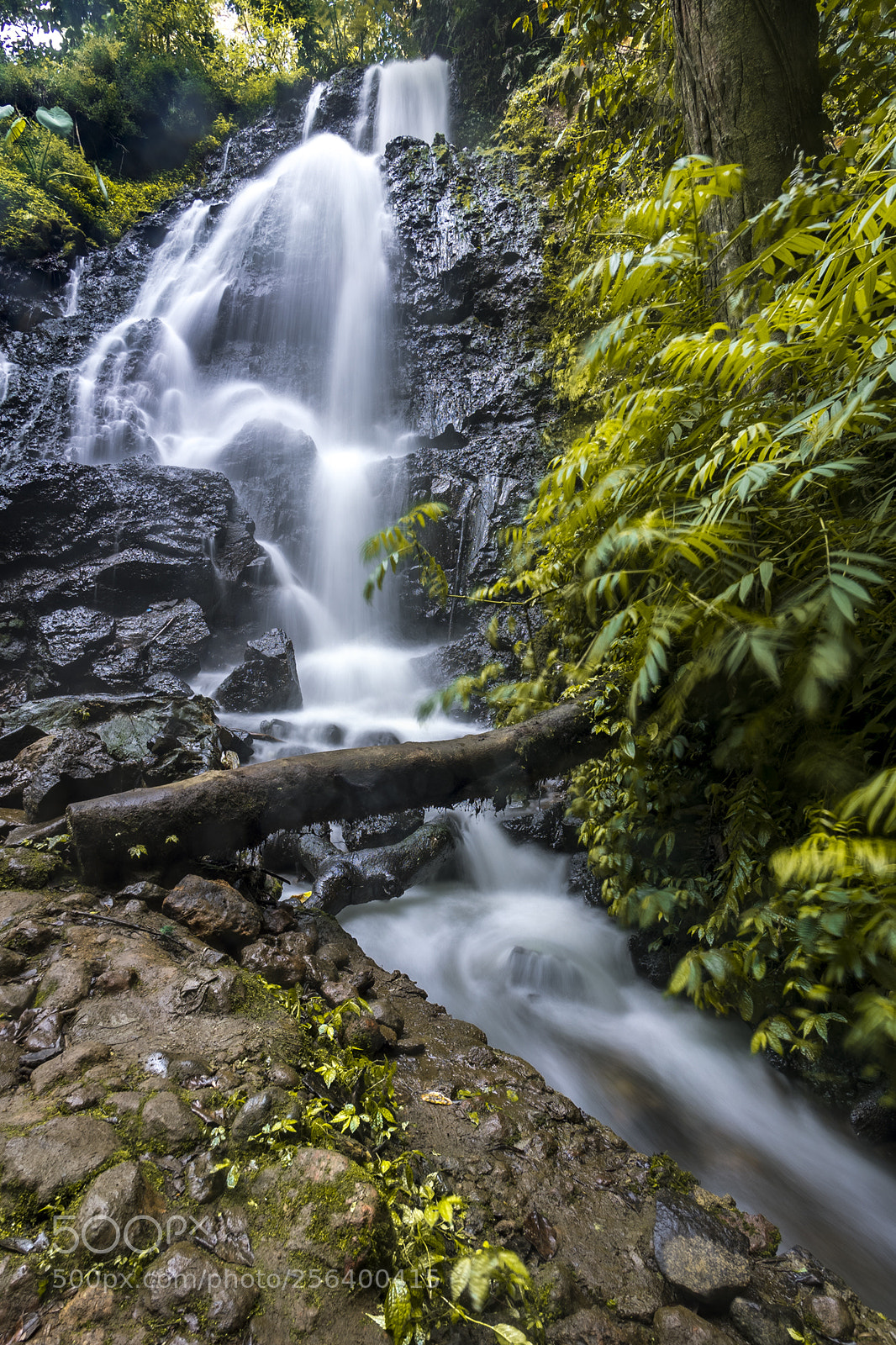 Sony a7 sample photo. Hidden place photography
