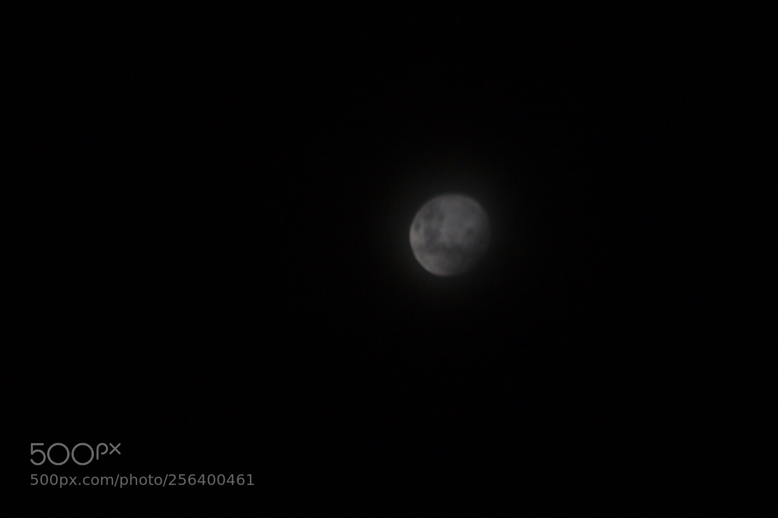 Canon EF 75-300mm f/4-5.6 sample photo. Mg photography