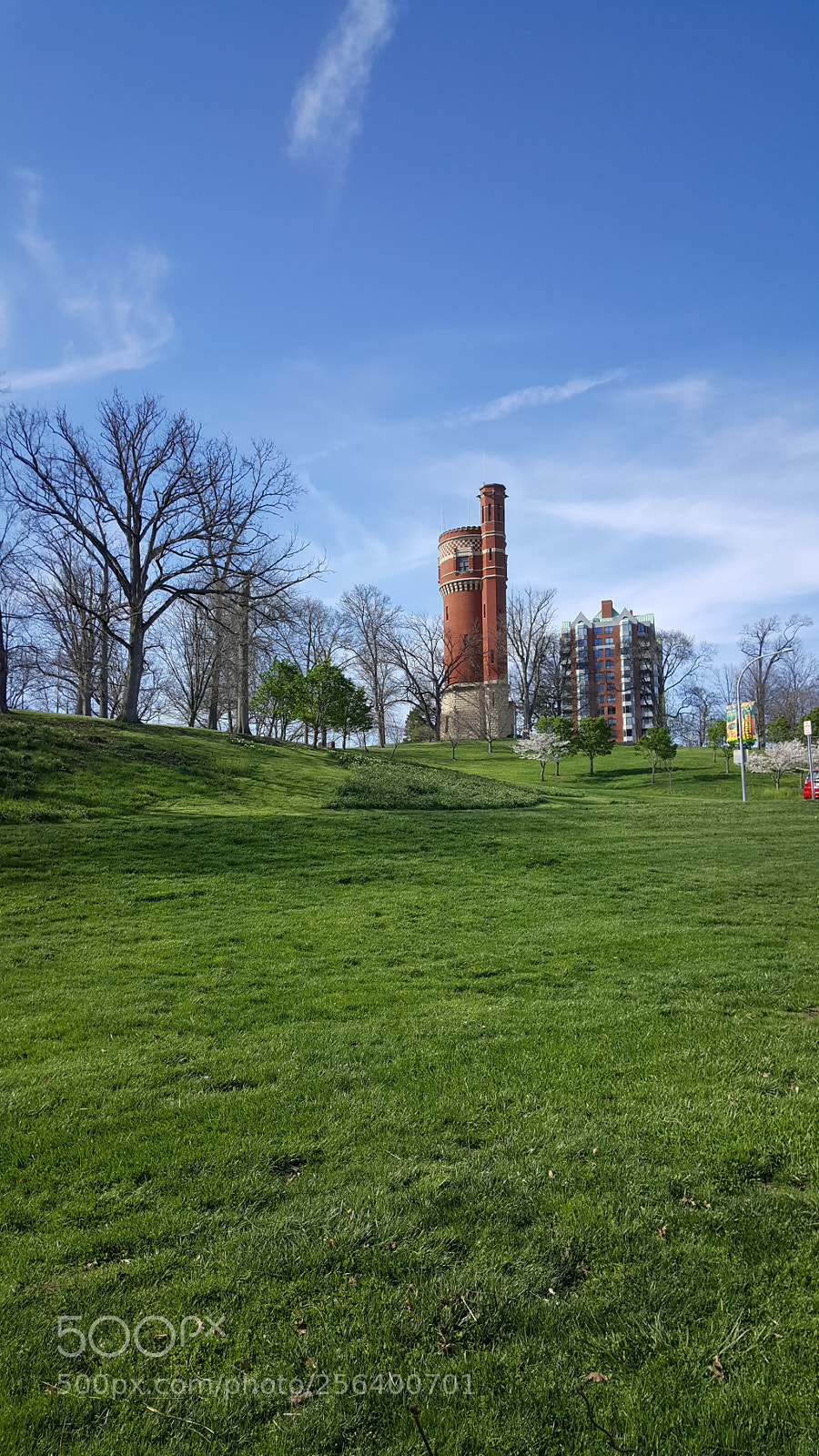 Samsung Galaxy S6 sample photo. Eden park photography