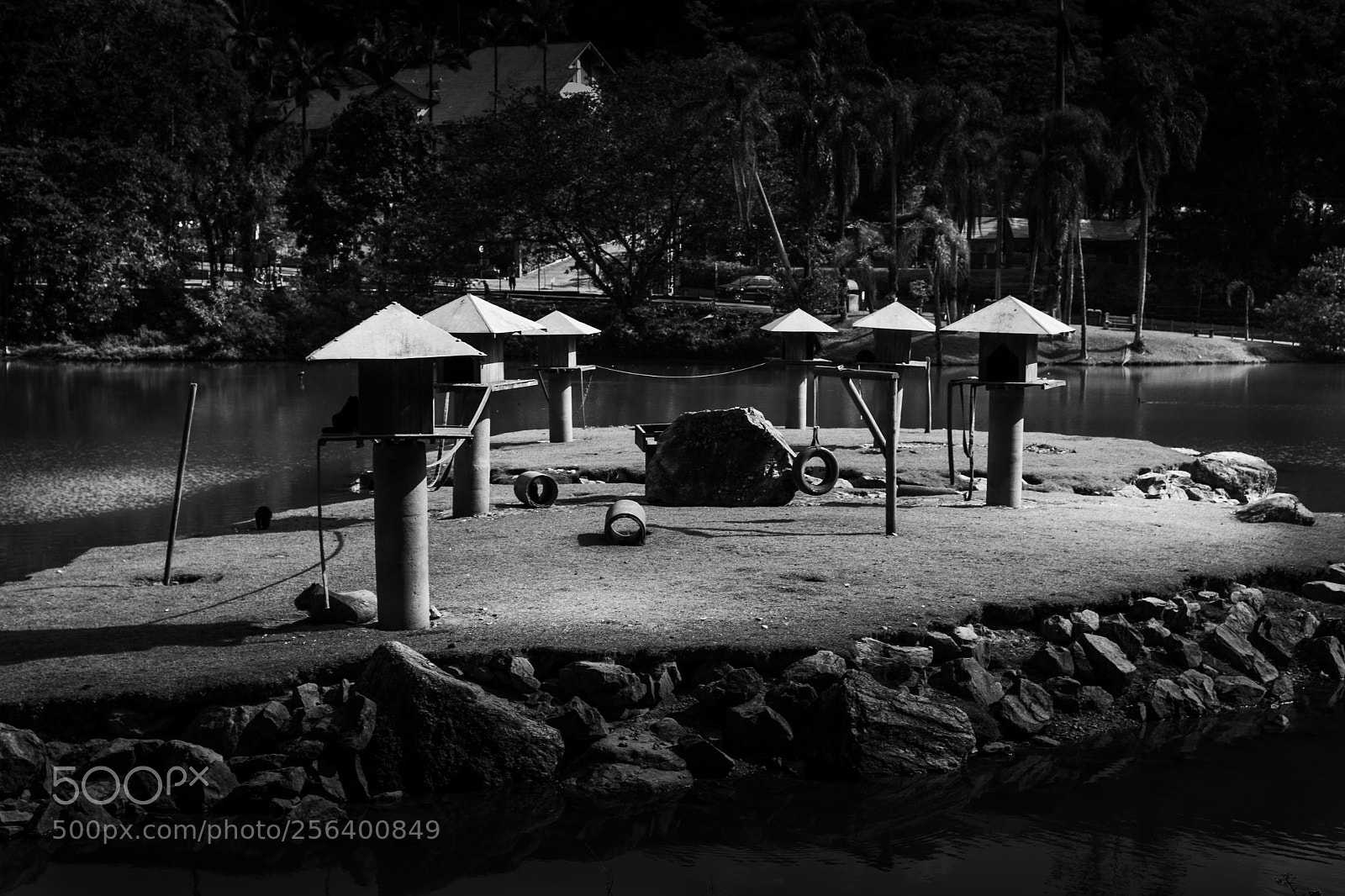 Canon EOS 1200D (EOS Rebel T5 / EOS Kiss X70 / EOS Hi) sample photo. Vila dos macacos photography