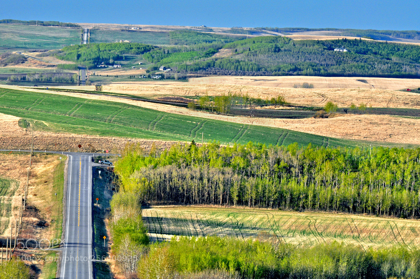 Nikon D90 sample photo. Foothills spring photography