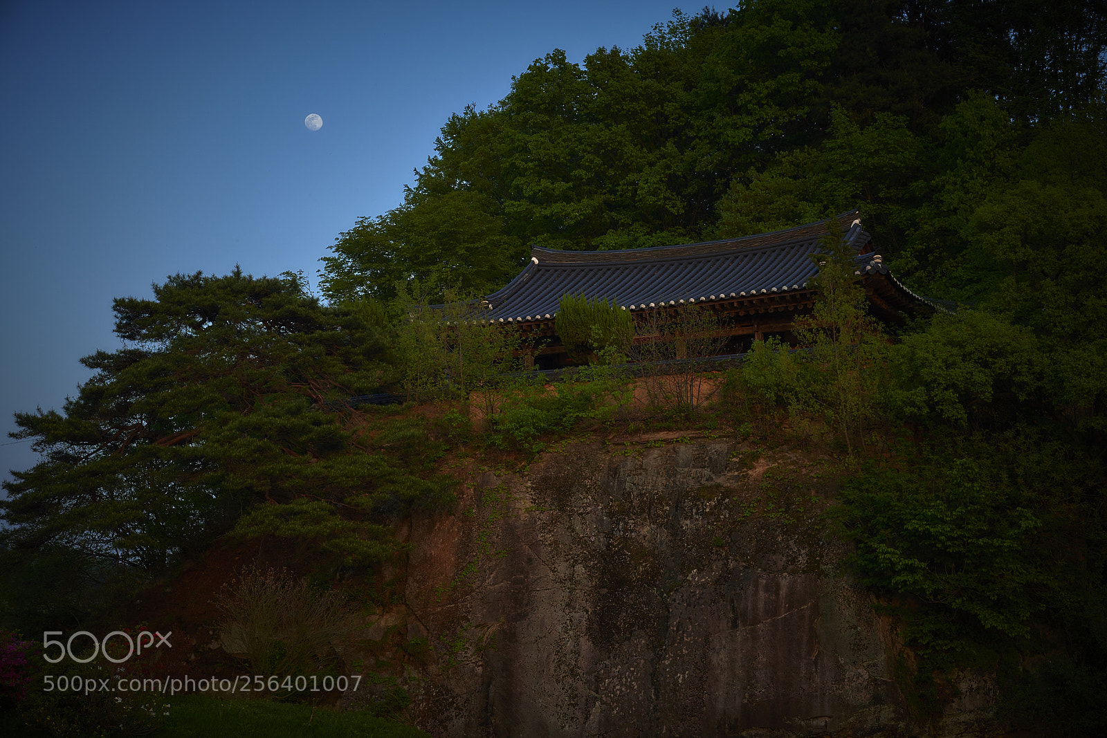Nikon D850 sample photo. 예천블로그용 dsc photography